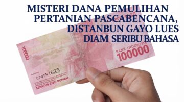Misteri Dana Pemulihan Pertanian Pascabencana, Distanbun Gayo Lues Diam Seribu Bahasa